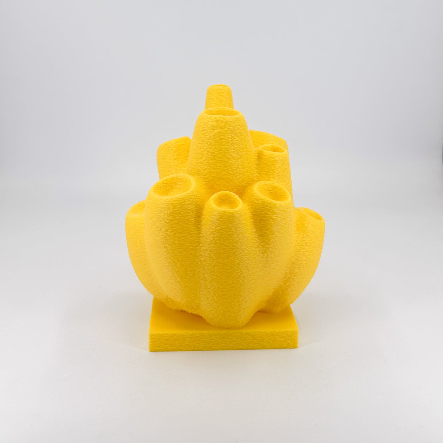 Sea Sponge