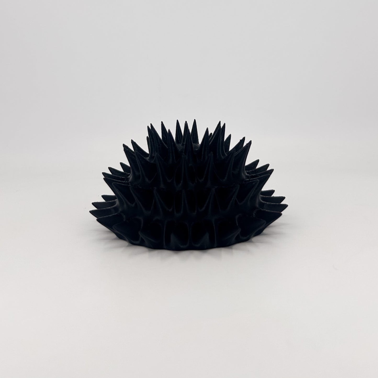 Sea Urchin