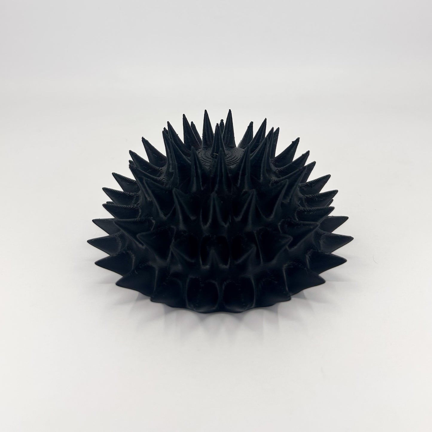 Sea Urchin