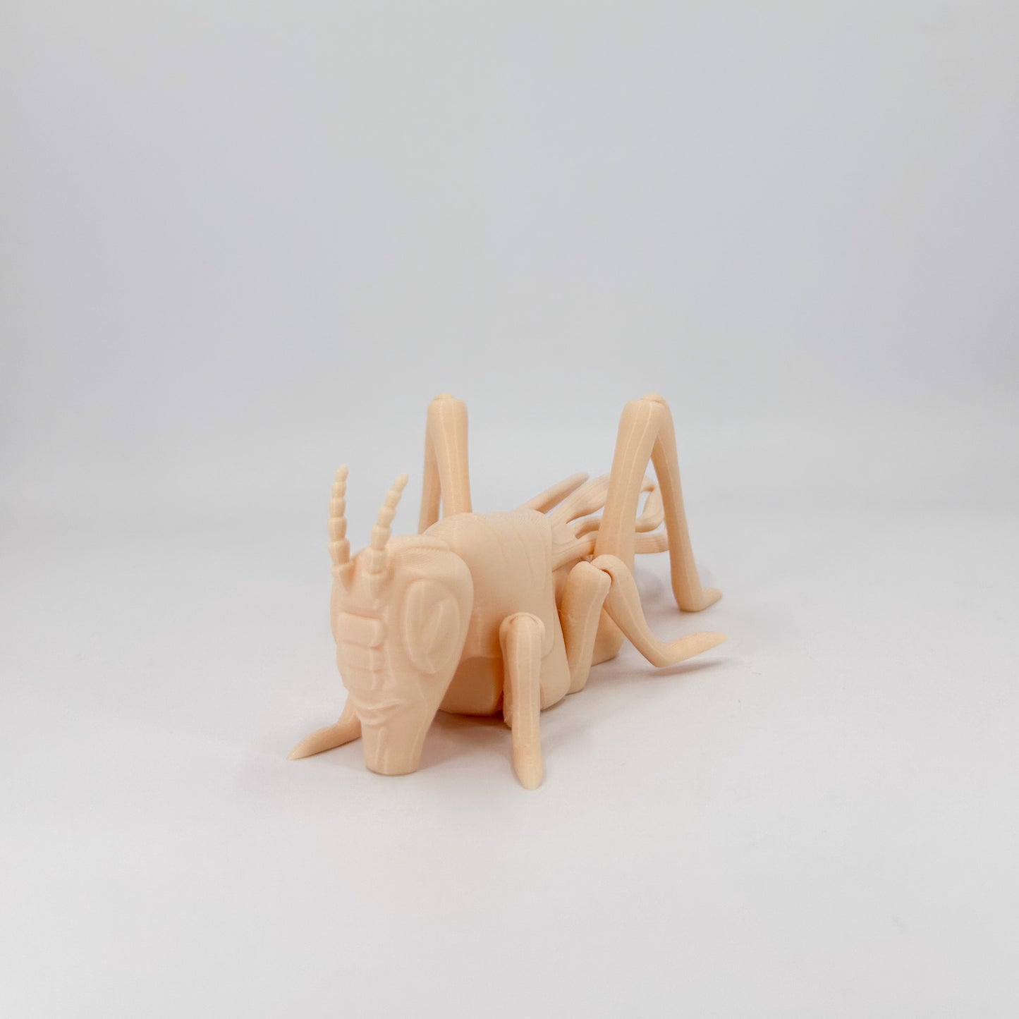 Grasshopper