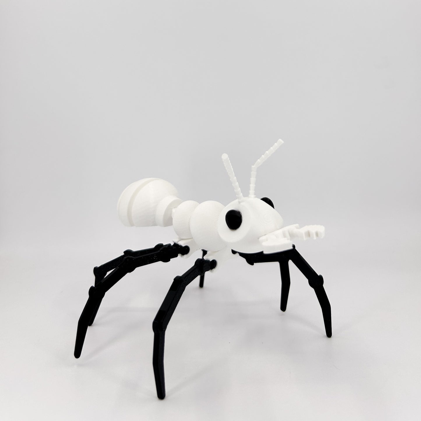 Ant