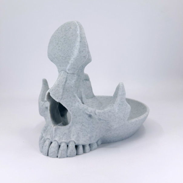 Skull Stand