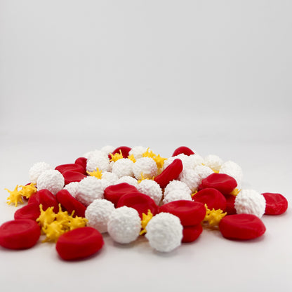Blood Cells Figure