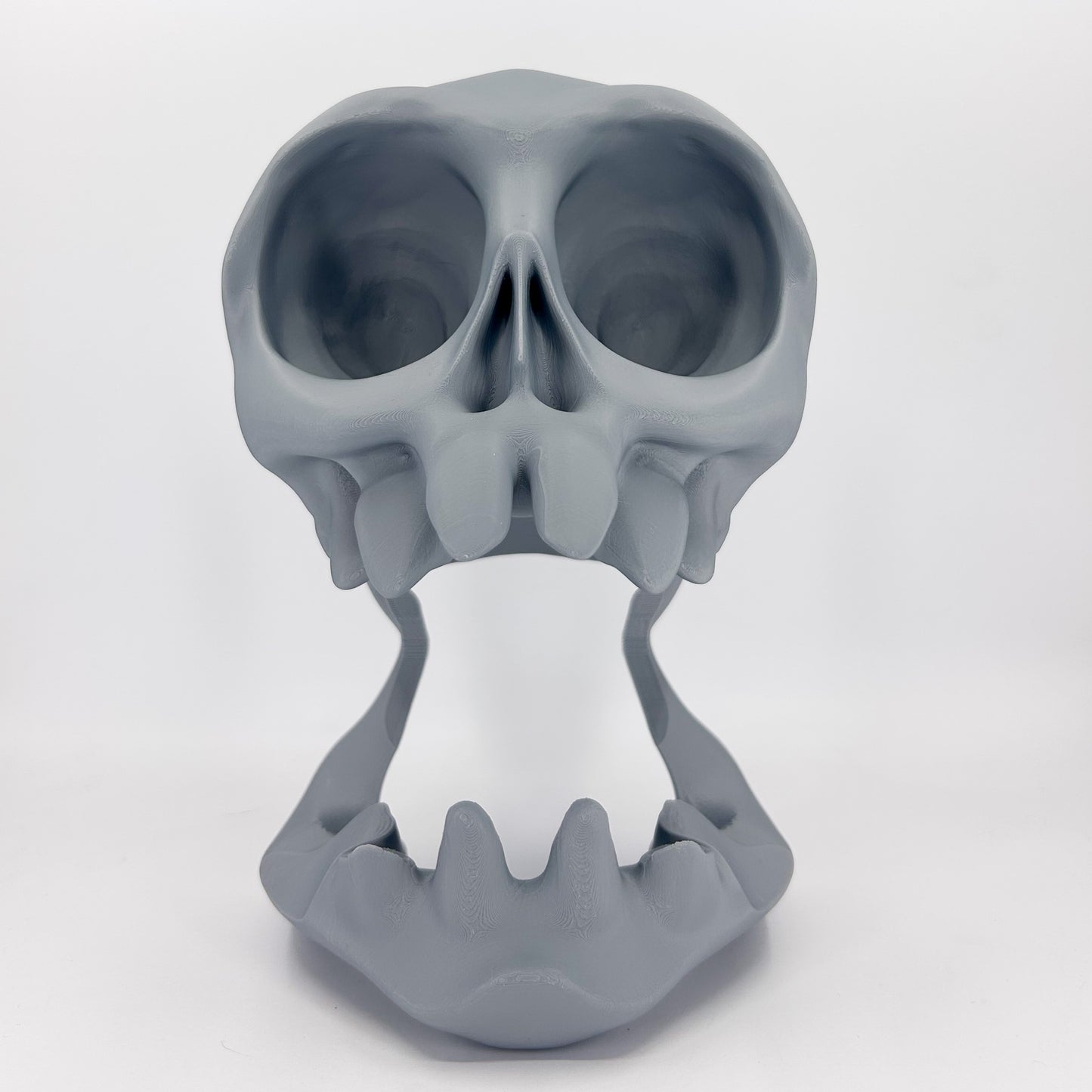Skull Headphone & Controller Stand