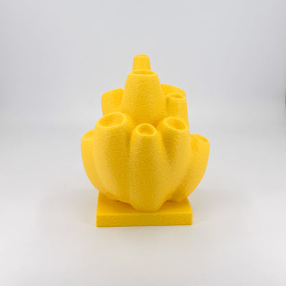Sea Sponge