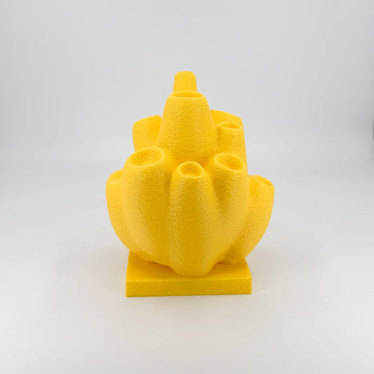 Sea Sponge