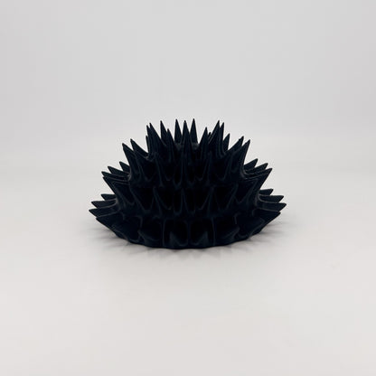 Sea Urchin
