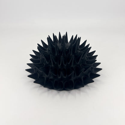 Sea Urchin