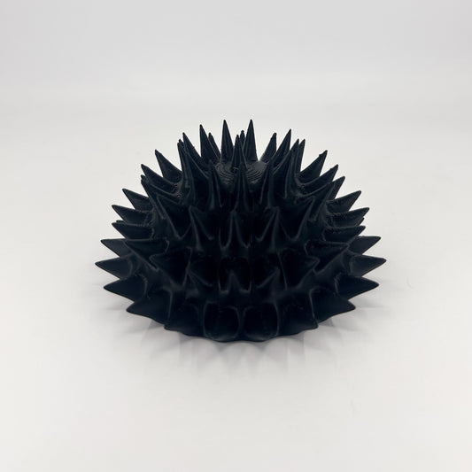 Sea Urchin