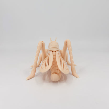 Grasshopper