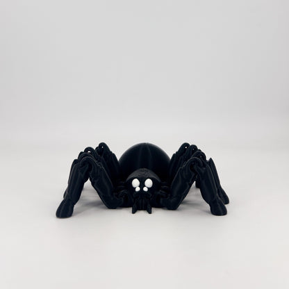 Spider
