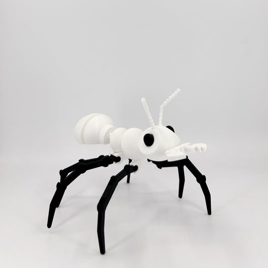 Ant