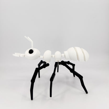 Ant