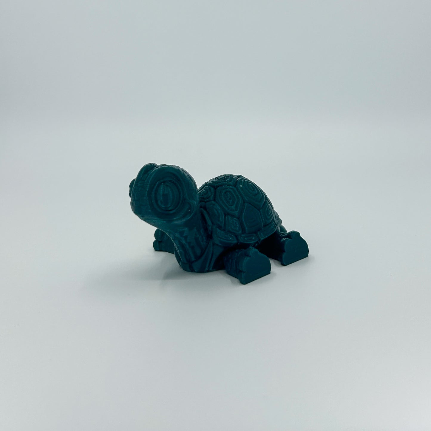 Turtle A