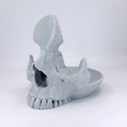Skull Stand