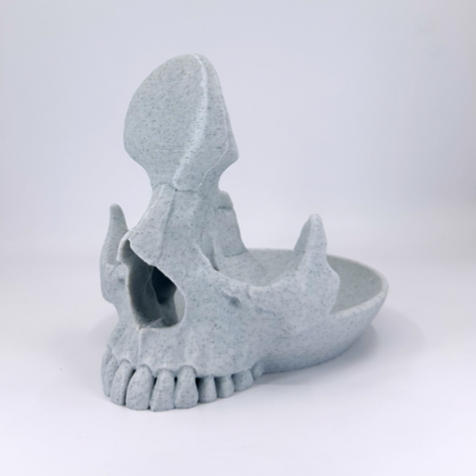 Skull Stand